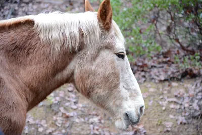 DSC_0961 (Large).JPG